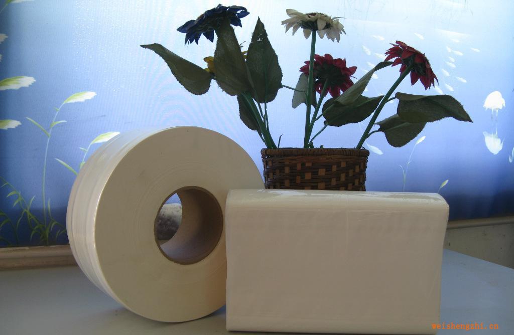 恒業擦手紙、大衛紙