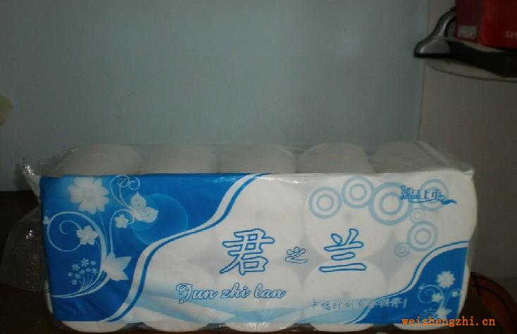 l批發(fā)熱銷供應(yīng)多種型號的擦手紙